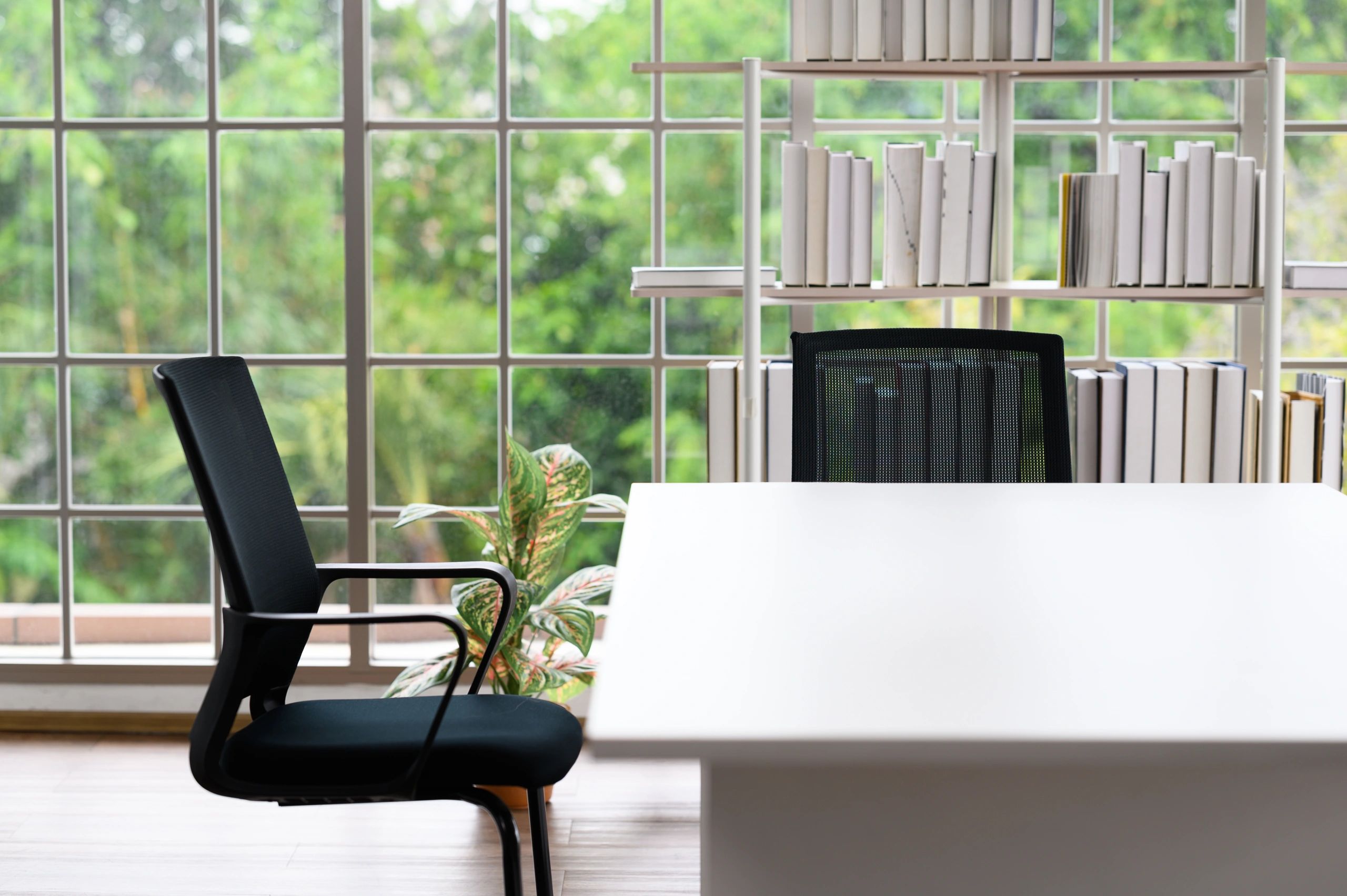 Professional office interior for tenant improvement service